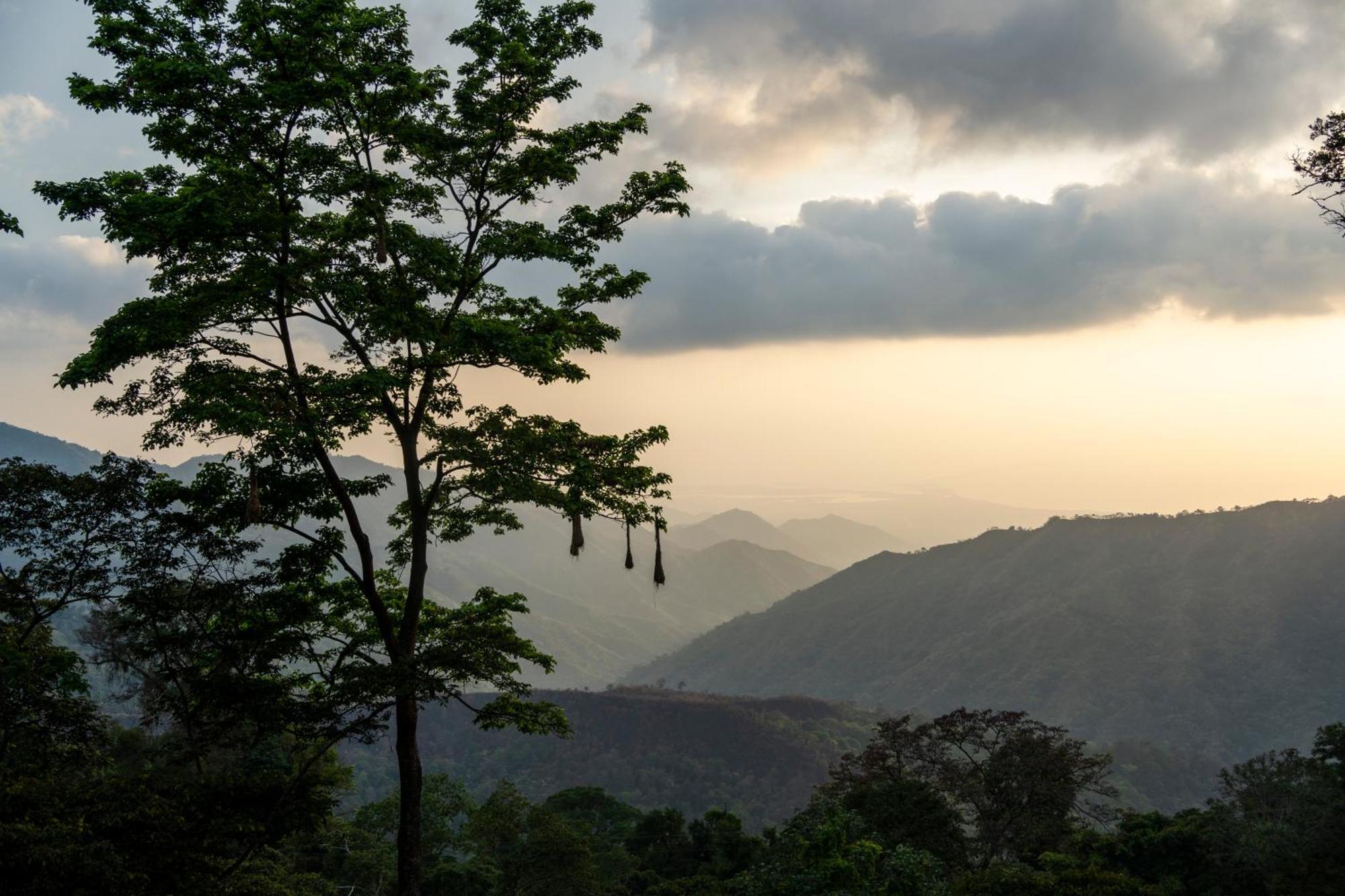 Mano Verde Minca Bagian luar foto