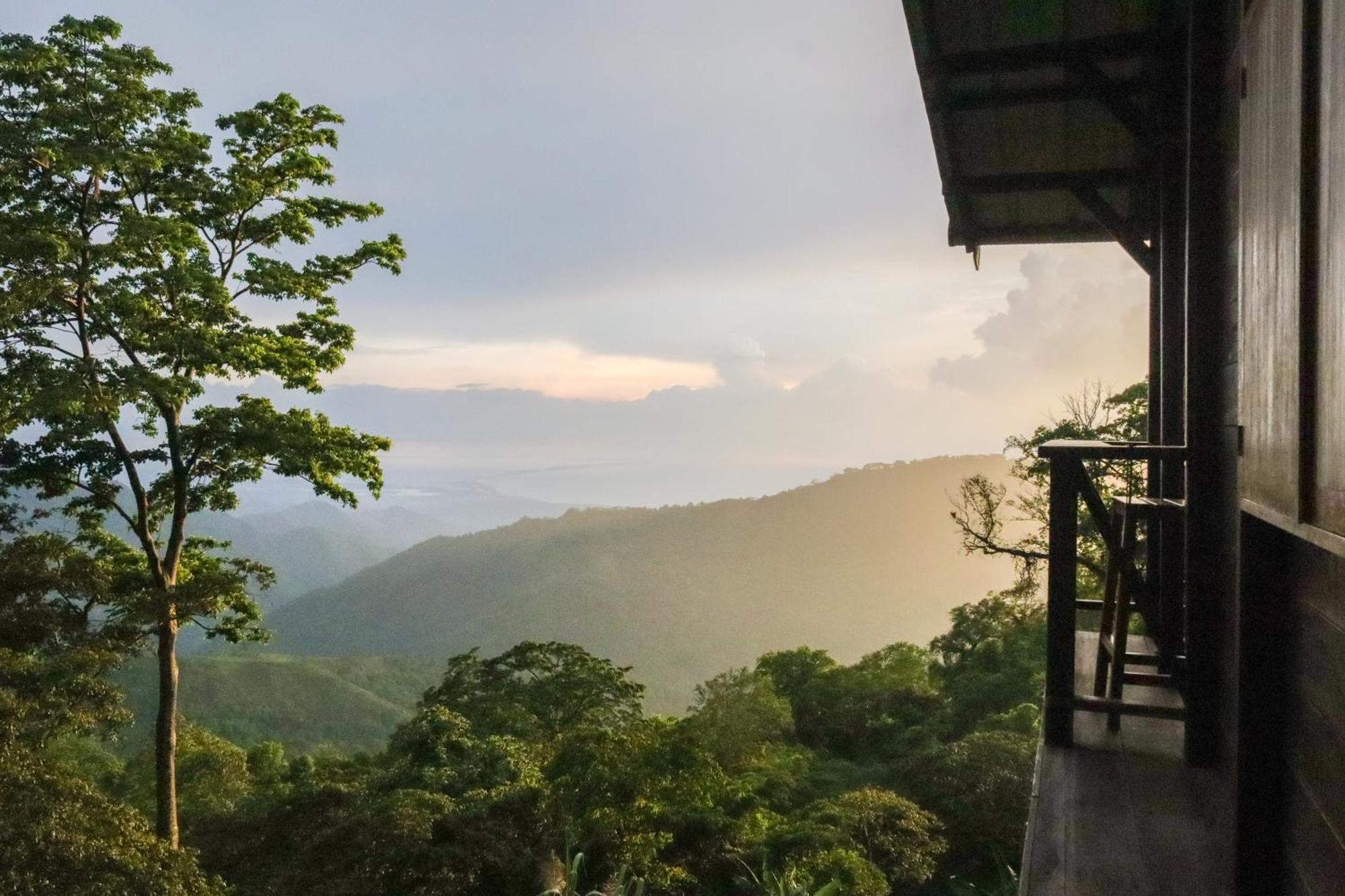 Mano Verde Minca Bagian luar foto