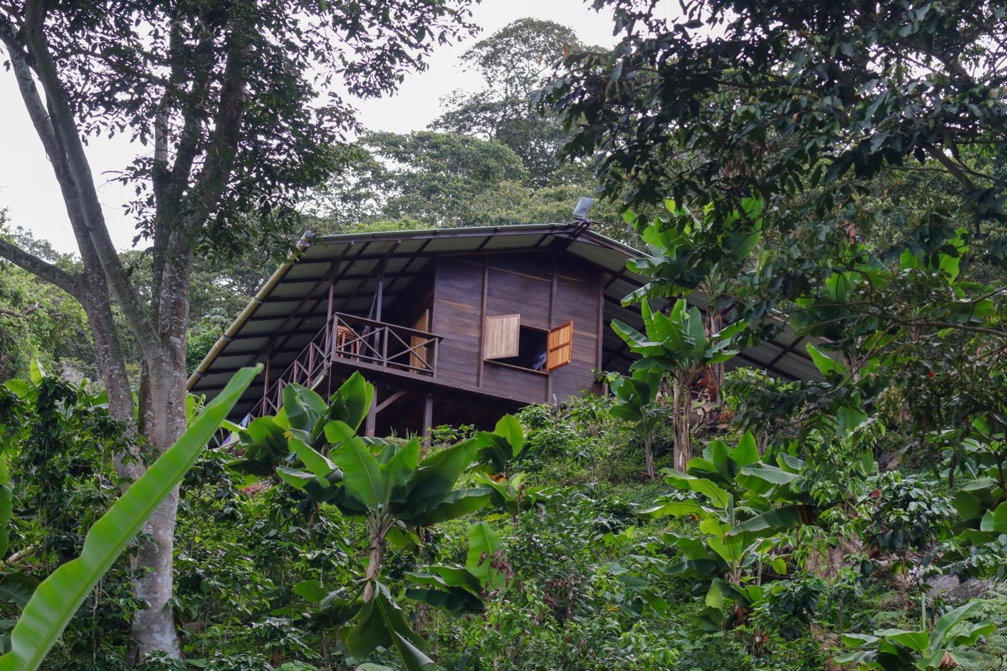 Mano Verde Minca Bagian luar foto