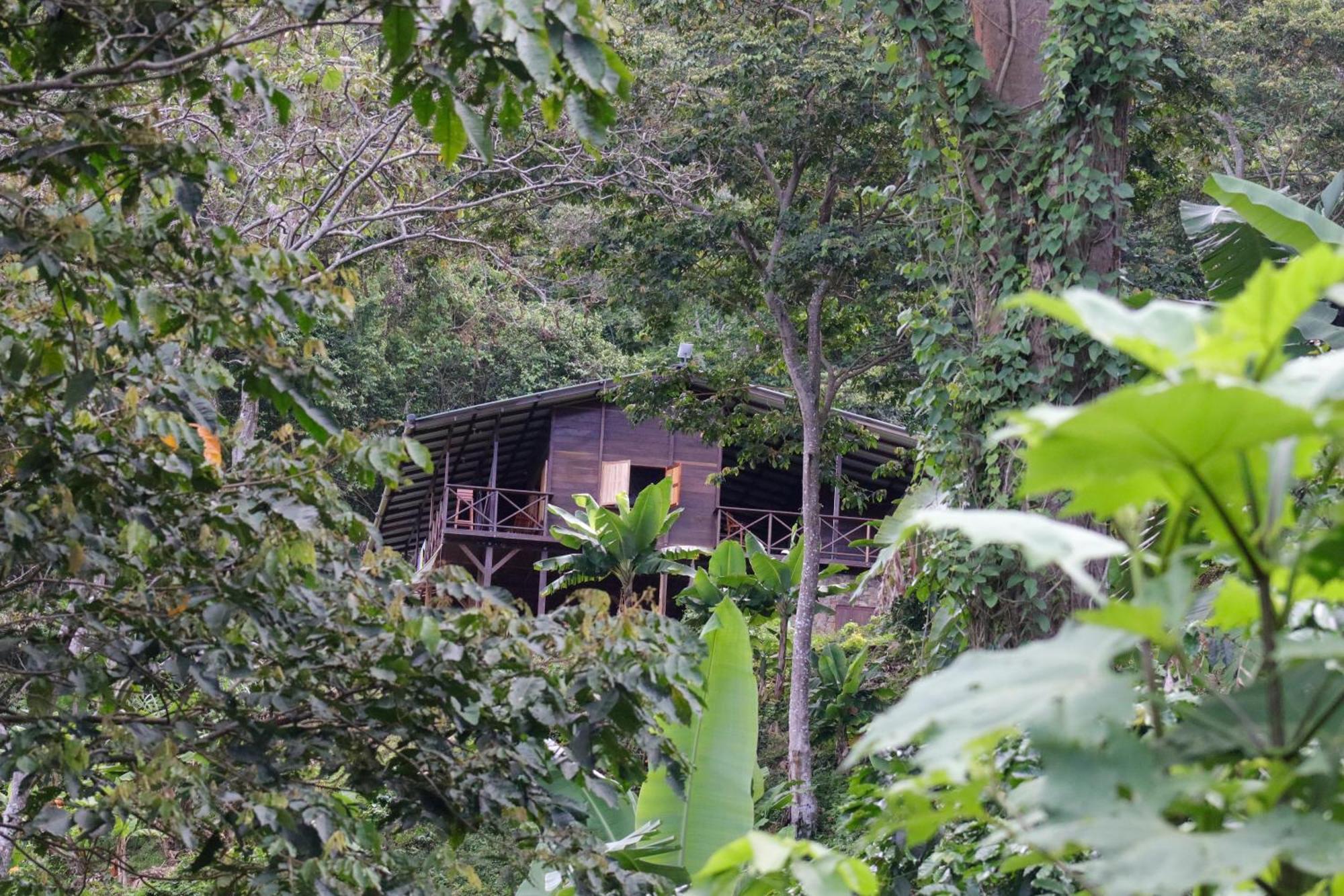 Mano Verde Minca Bagian luar foto