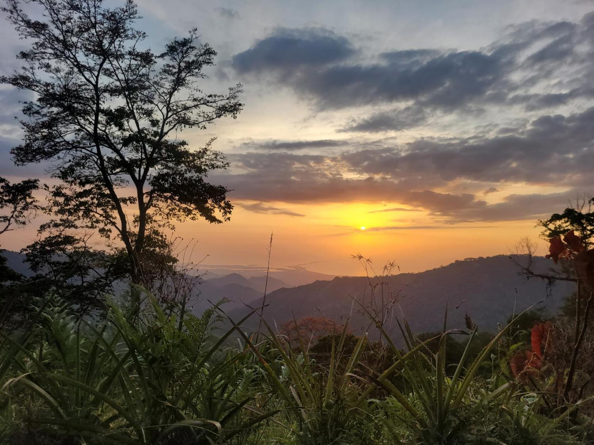 Mano Verde Minca Bagian luar foto